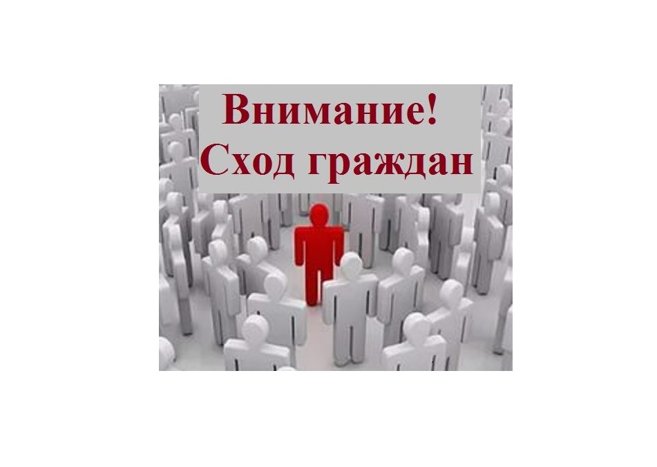 Сход граждан.